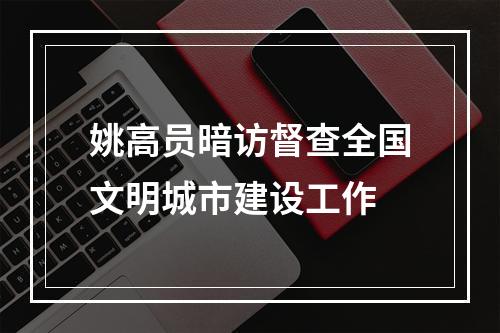 姚高员暗访督查全国文明城市建设工作