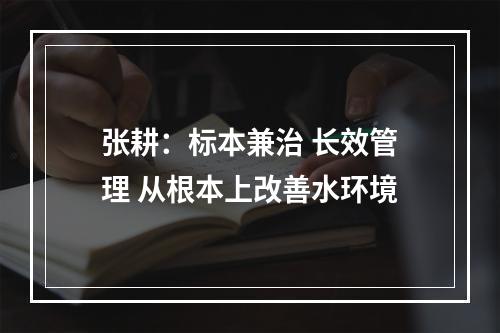 张耕：标本兼治 长效管理 从根本上改善水环境