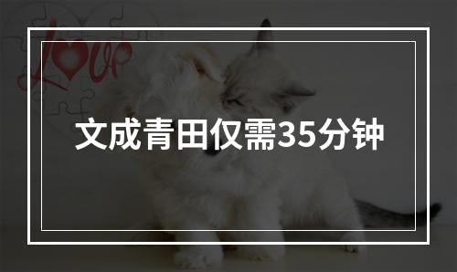 文成青田仅需35分钟