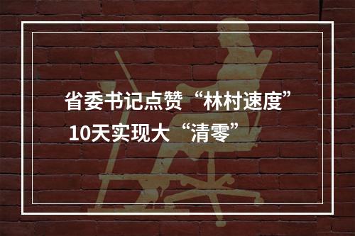 省委书记点赞“林村速度” 10天实现大“清零”
