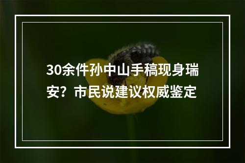 30余件孙中山手稿现身瑞安？市民说建议权威鉴定