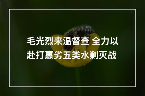 毛光烈来温督查 全力以赴打赢劣五类水剿灭战