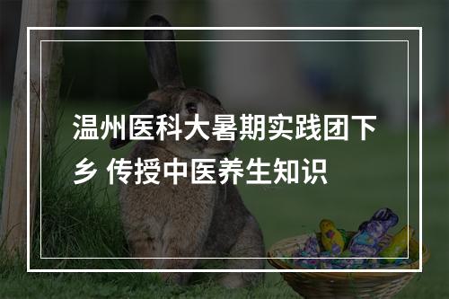 温州医科大暑期实践团下乡 传授中医养生知识