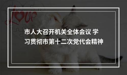 市人大召开机关全体会议 学习贯彻市第十二次党代会精神
