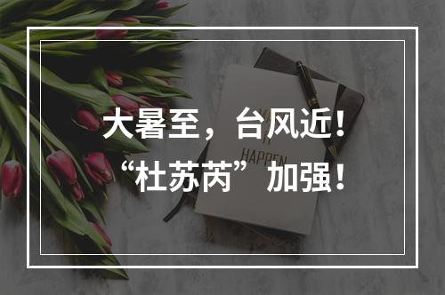 大暑至，台风近！“杜苏芮”加强！