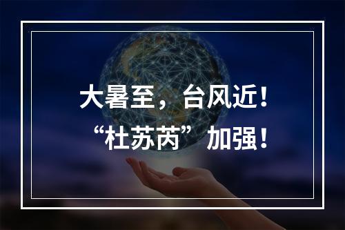 大暑至，台风近！“杜苏芮”加强！