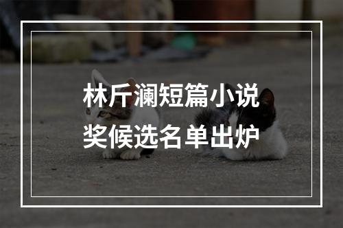 林斤澜短篇小说奖候选名单出炉