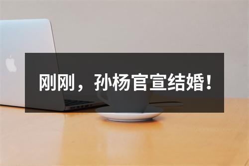 刚刚，孙杨官宣结婚！