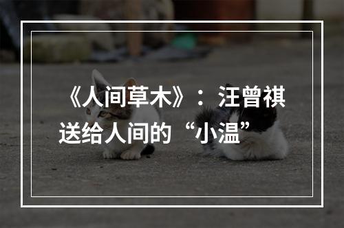 《人间草木》：汪曾祺送给人间的“小温”