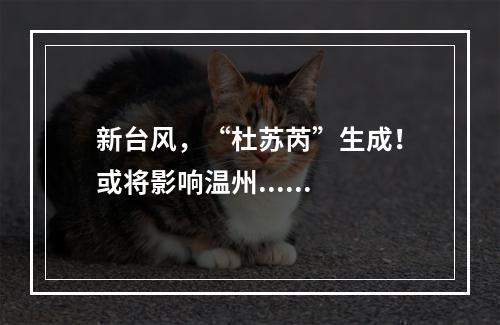 新台风，“杜苏芮”生成！或将影响温州......