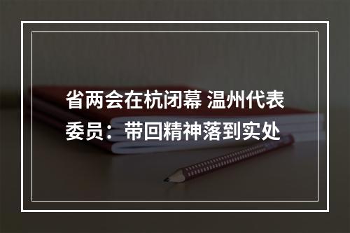 省两会在杭闭幕 温州代表委员：带回精神落到实处