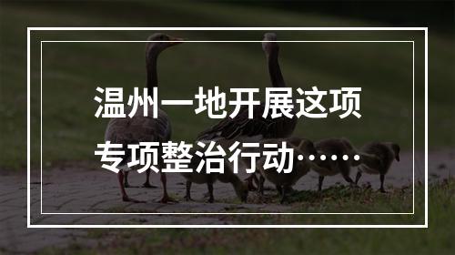 温州一地开展这项专项整治行动……