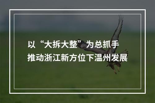 以“大拆大整”为总抓手 推动浙江新方位下温州发展