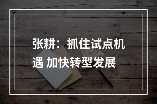 张耕：抓住试点机遇 加快转型发展