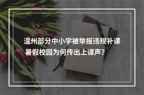 温州部分中小学被举报违规补课 暑假校园为何传出上课声？