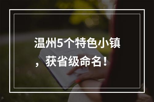 温州5个特色小镇，获省级命名！