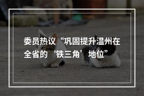 委员热议“巩固提升温州在全省的‘铁三角’地位”