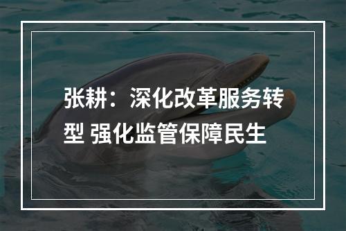 张耕：深化改革服务转型 强化监管保障民生