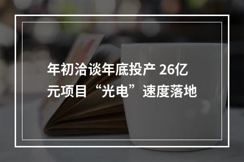 年初洽谈年底投产 26亿元项目“光电”速度落地