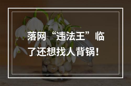 落网“违法王”临了还想找人背锅！