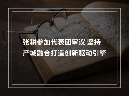 张耕参加代表团审议 坚持产城融合打造创新驱动引擎