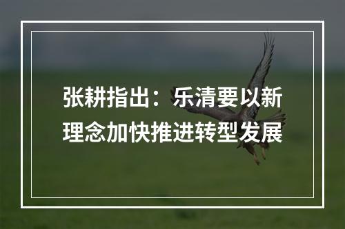 张耕指出：乐清要以新理念加快推进转型发展