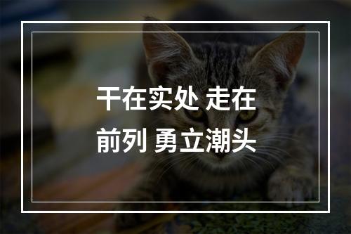干在实处 走在前列 勇立潮头