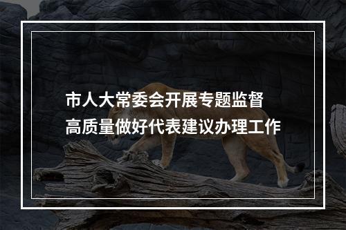 市人大常委会开展专题监督 高质量做好代表建议办理工作