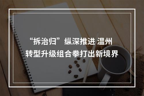 “拆治归”纵深推进 温州转型升级组合拳打出新境界