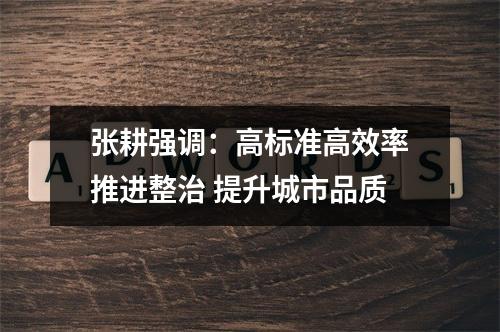 张耕强调：高标准高效率推进整治 提升城市品质