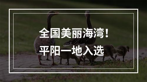 全国美丽海湾！平阳一地入选