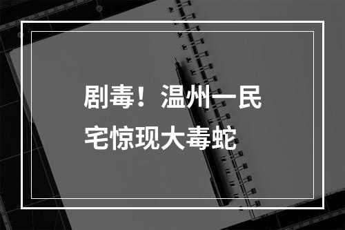 剧毒！温州一民宅惊现大毒蛇