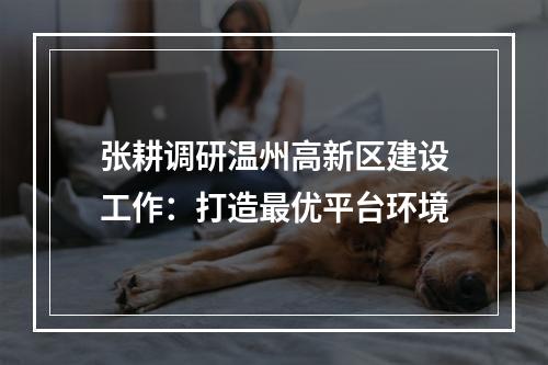 张耕调研温州高新区建设工作：打造最优平台环境