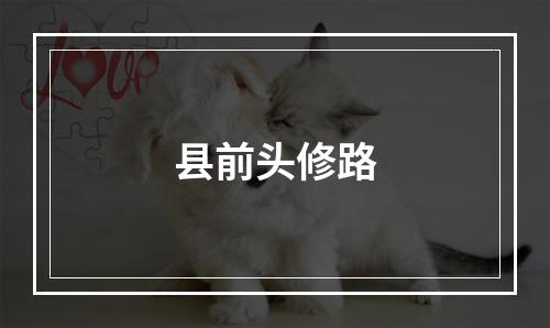 县前头修路