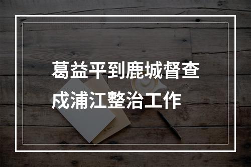 葛益平到鹿城督查戍浦江整治工作