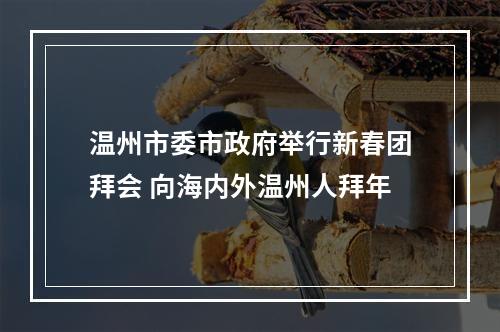 温州市委市政府举行新春团拜会 向海内外温州人拜年