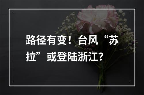 路径有变！台风“苏拉”或登陆浙江？