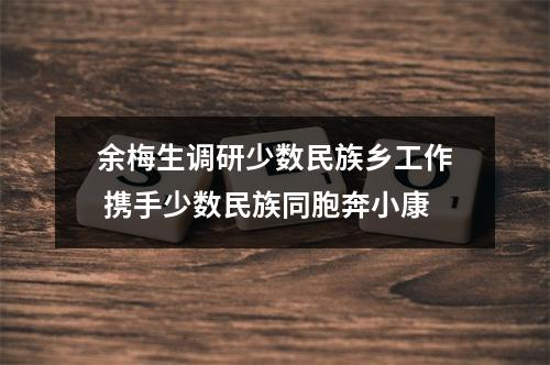 余梅生调研少数民族乡工作 携手少数民族同胞奔小康
