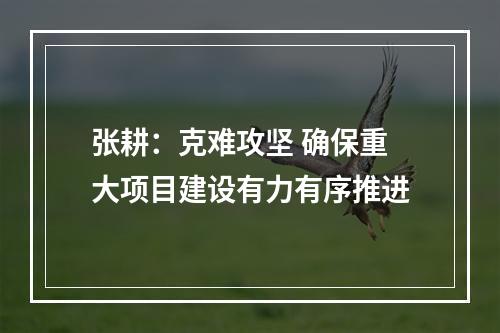 张耕：克难攻坚 确保重大项目建设有力有序推进