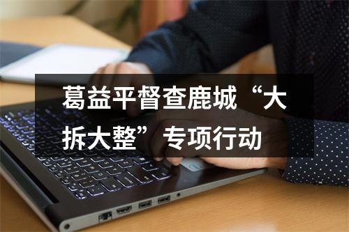 葛益平督查鹿城“大拆大整”专项行动