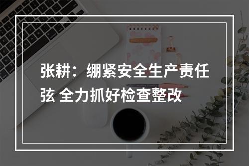 张耕：绷紧安全生产责任弦 全力抓好检查整改