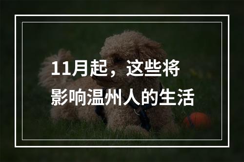 11月起，这些将影响温州人的生活
