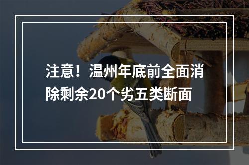 注意！温州年底前全面消除剩余20个劣五类断面