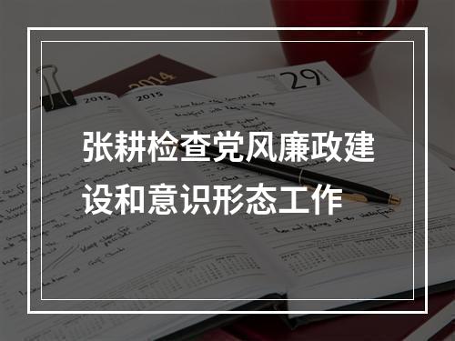 张耕检查党风廉政建设和意识形态工作