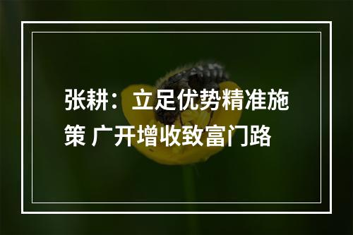 张耕：立足优势精准施策 广开增收致富门路