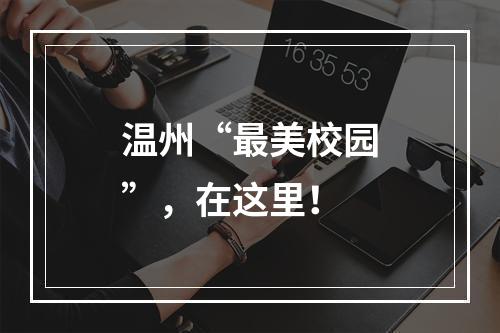 温州“最美校园”，在这里！