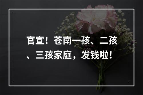 官宣！苍南一孩、二孩、三孩家庭，发钱啦！