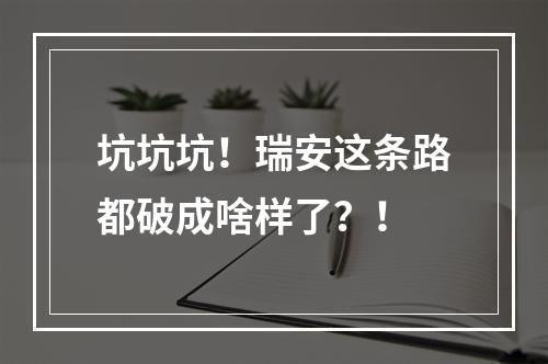 坑坑坑！瑞安这条路都破成啥样了？！