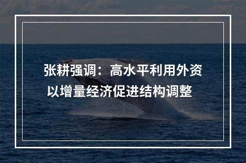 张耕强调：高水平利用外资 以增量经济促进结构调整