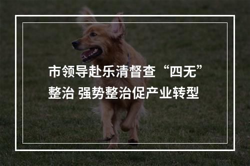 市领导赴乐清督查“四无”整治 强势整治促产业转型